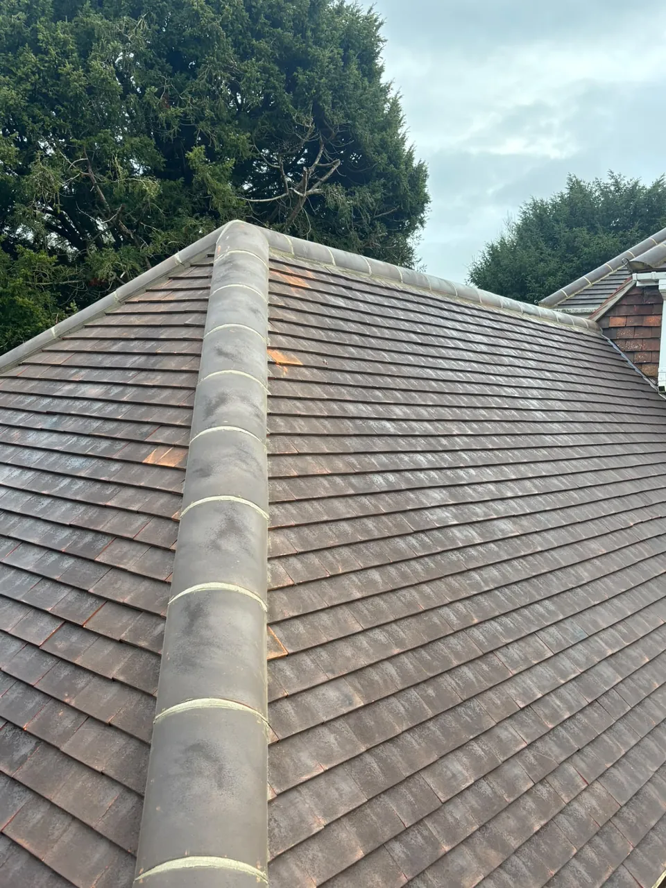 Plain tile hip roof with new ridge tiles, re-roof in Surrey