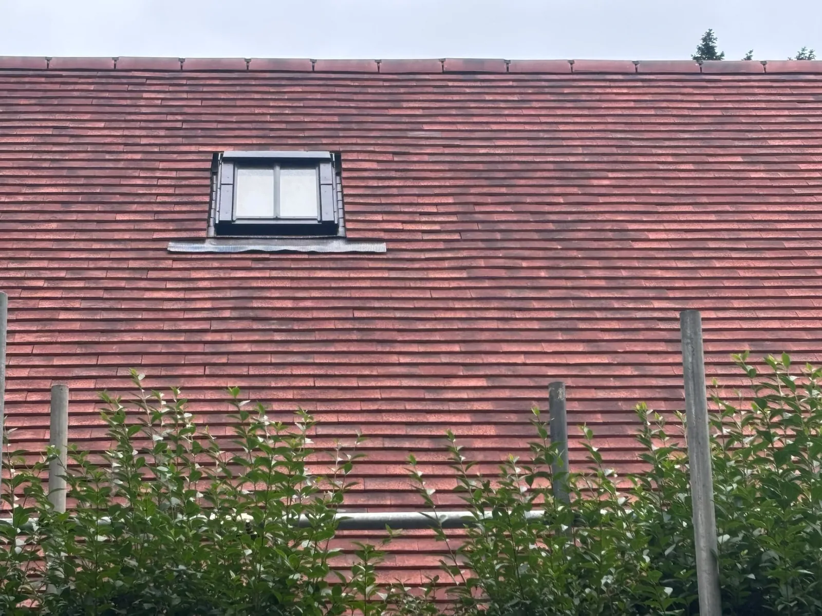 Re-roofed slope in red plain tiles with roof window fitted