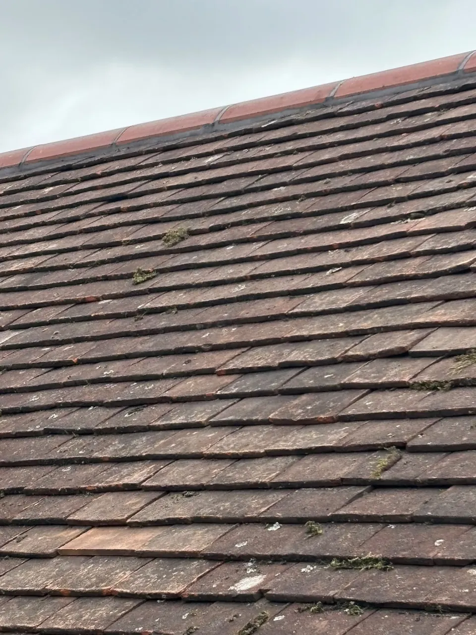 Weathered plain tile roof slope in Hampshire